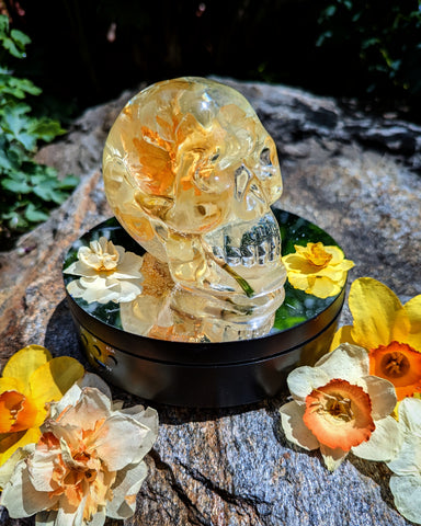 Figure - Daffodil Skull