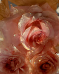 A Floral Preservation - Floral Arch (Blush Roses)